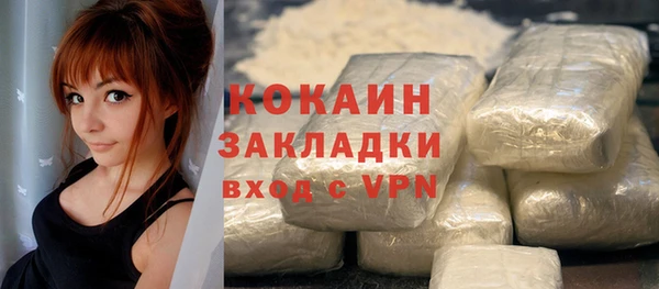 трава Осинники
