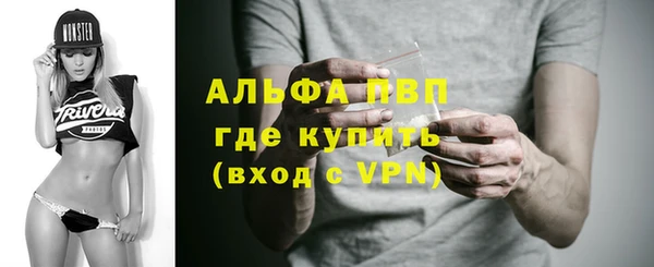 трава Осинники