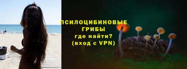 соль ск Осташков
