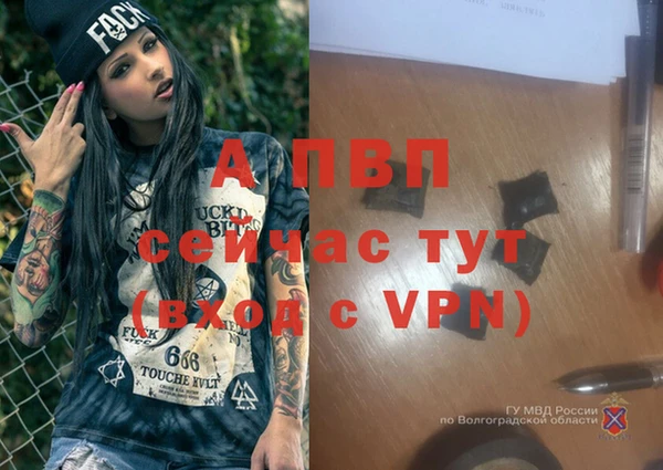 соль ск Осташков