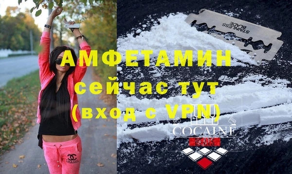 мдпв Пересвет