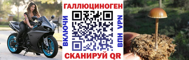 как найти закладки  Малая Вишера  Галлюциногенные грибы Cubensis 