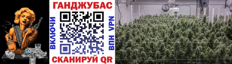 Бошки марихуана SATIVA & INDICA  ссылка на мегу ссылка  Малая Вишера 